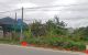 thum-m_pnvoPKY0rc_1677168893.jpg