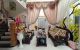 thum-9031957_Cba5g3FKnW_1677225354.jpg