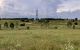 thum-9031962_i4mpwPHCFW_1677225844.jpg