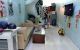 thum-9032055_S7yjfi0kTQ_1677239064.jpg