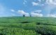 thum-9032227_ayBLGIitpq_1677305282.jpg