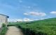 thum-m_ntflgoHQib_1677305279.jpg