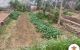 thum-9032696_9hoHa4TKP3_1677487375.jpg