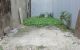 thum-9032853_JsLEHhRM9Y_1677550354.jpg
