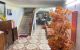 thum-9032959_gTUEFjIC54_1677561041.jpg