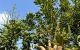 thum-9033834_lj9sebtKuw_1677756544.jpg