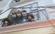 thum-m_CxgiFREBwY_1677745244.jpg