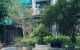 thum-m_ElS49MPRej_1677748680.jpg
