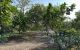 thum-m_Q9pwuKdfTB_1677756529.jpg