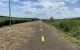 thum-9033724_8tI15Gqgvd_1677817558.jpg