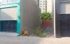 thum-9034146_H7yeDjobhM_1677829585.jpg