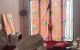 thum-9034257_7XnY8umIZS_1677852871.jpeg