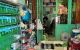 thum-9034260_Oh21vMoWkF_1677853090.jpeg