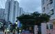 thum-9034265_RmLTa15Bpi_1677853649.jpeg
