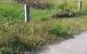 thum-m_537LI6tSxV_1677837886.jpg