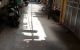 thum-9034369_o4jlcNOupK_1677899358.jpg