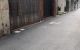 thum-9034509_WdPaLQ16hU_1677928620.jpg