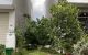 thum-m_mpvuOtCJNb_1677924168.jpg