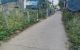 thum-9034702_ov8tg50eDk_1678023087.jpg