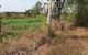 thum-9034716_9HzrPDpICw_1678027026.jpg