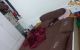 thum-9034759_iVIqSgLJRh_1678063802.jpg