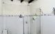 thum-9035080_Rtj5qXDQ0W_1678152003.jpg