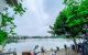 thum-m_0XPUKaByVH_1678155521.jpg