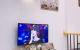 thum-9035684_mMK2yk7ZCO_1678286146.jpg