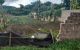 thum-m_yPVW42gBA9_1678263575.jpg