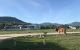 thum-9036174_i2Q8HygBsY_1678416365.jpg