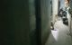 thum-9036200_TGyb6uUNRF_1678417851.jpg