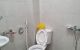 thum-9036519_4aSgOmN3F0_1678444132.jpg