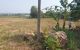 thum-m_ufocDSWsh2_1678619927.jpg