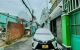 thum-9037153_0CPYIagXfo_1678682291.jpg
