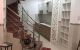 thum-9037372_eHqDyRbfCl_1678717603.jpg