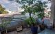 thum-m_D6pOh9XQUc_1678680183.jpg