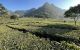 thum-9037548_2egMsWPpu8_1678767168.jpg