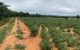 thum-9037640_MD8T63iRLh_1678780444.jpg