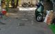 thum-9037789_cpLzyHTmt3_1678812439.jpg