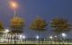 thum-9038042_cXbKwxoGAt_1678869977.jpg