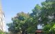thum-m_NxKphM8JfR_1678855083.jpg