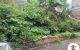 thum-9038223_3ITWsGZh1m_1678930497.jpg