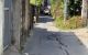thum-9038462_2dx8W4spvm_1678967647.jpg