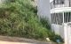 thum-m_5OIxYhdCja_1678958136.jpg