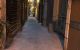 thum-9038636_vm8wxgGThc_1679022779.jpg