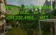 thum-9038717_s4TmiMZ6QB_1679035568.jpg