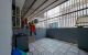 thum-m_dnjbtCgUFB_1679063676.jpg