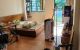 thum-9039037_yFEhsUgqT2_1679118055.jpg