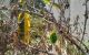 thum-9039272_4NbRtKTILS_1679224557.jpg