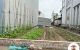 thum-m_CVDSuzqMQN_1679193940.jpg